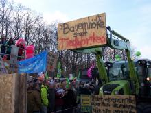 Bauernhöfe statt Tierfabriken