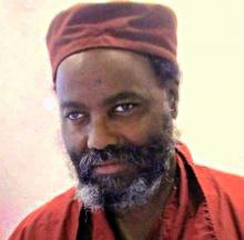 Mumia Abu Jamal, 2017
