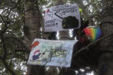Aktivisti präsentieren von einer Holzplattform zwischen drei Baumkronen aus mehrere Banner. Eines sagt: "Vom Voßbrook bis zur Waterkant. MFG 5 bleibt in aller Hand!" Auf einem weiteren Banner steht: "Klimagerechtigkeit erkämpfen! Wehrdienst verweigern!" Auch eine Pride-Flagge ist zu sehen.