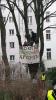 Klimaaktivisti in Bergahorn mit Transpi "Kronen auf Bäumen NICHT auf Köpfen"